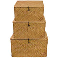 Set of 3 Seagrass Rattan Boxes with Lid, Rectangular Woven Storage Hamper - image 1