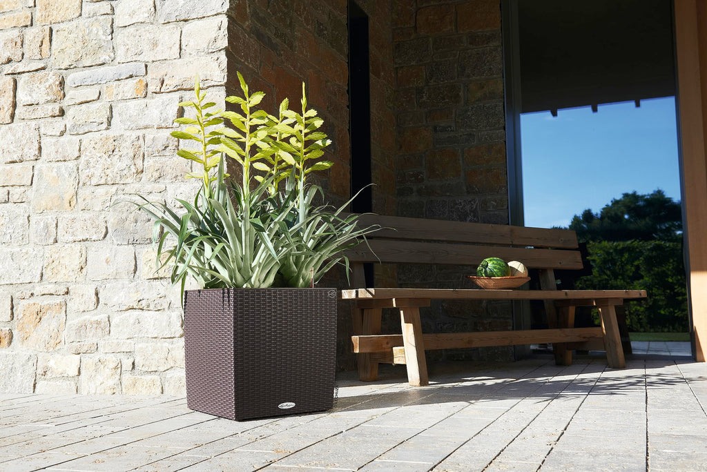 Lechuza Cube Cottage 40 Self-Watering Planter – Mocha Wicker Look