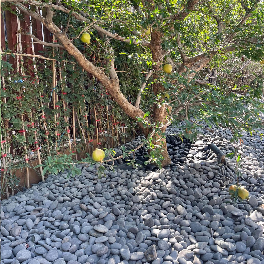 FANTIAN 20 lbs Black River Rocks – 2-4 cm Decorative Pebbles for Garden