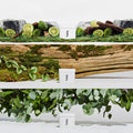 Fussy Natural Deodorant Refill Pack of 3 | Aluminium-Free Variety Pack