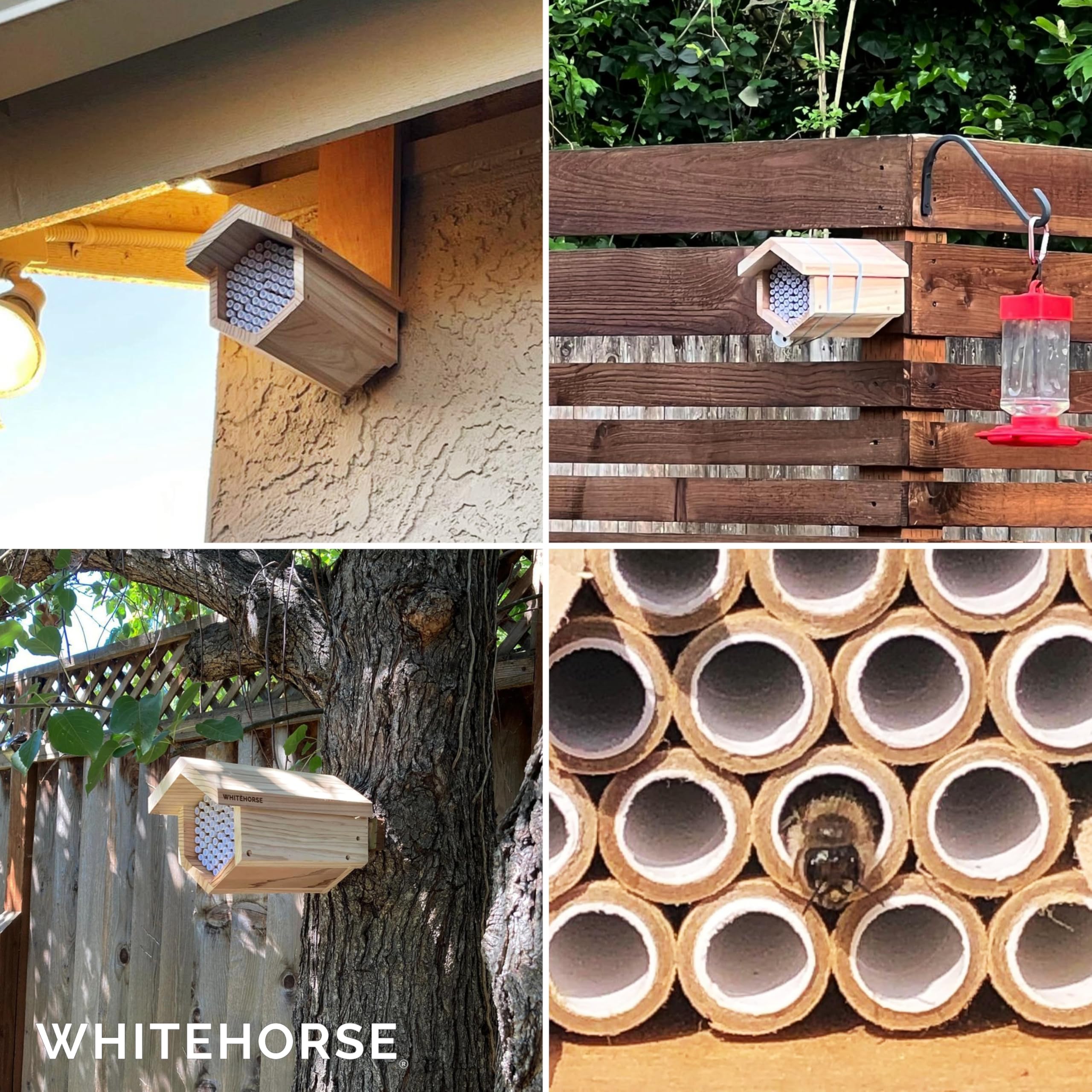 WHITEHORSE Cedar Mason Bee House – Weatherproof Insect Hotel with Tubes