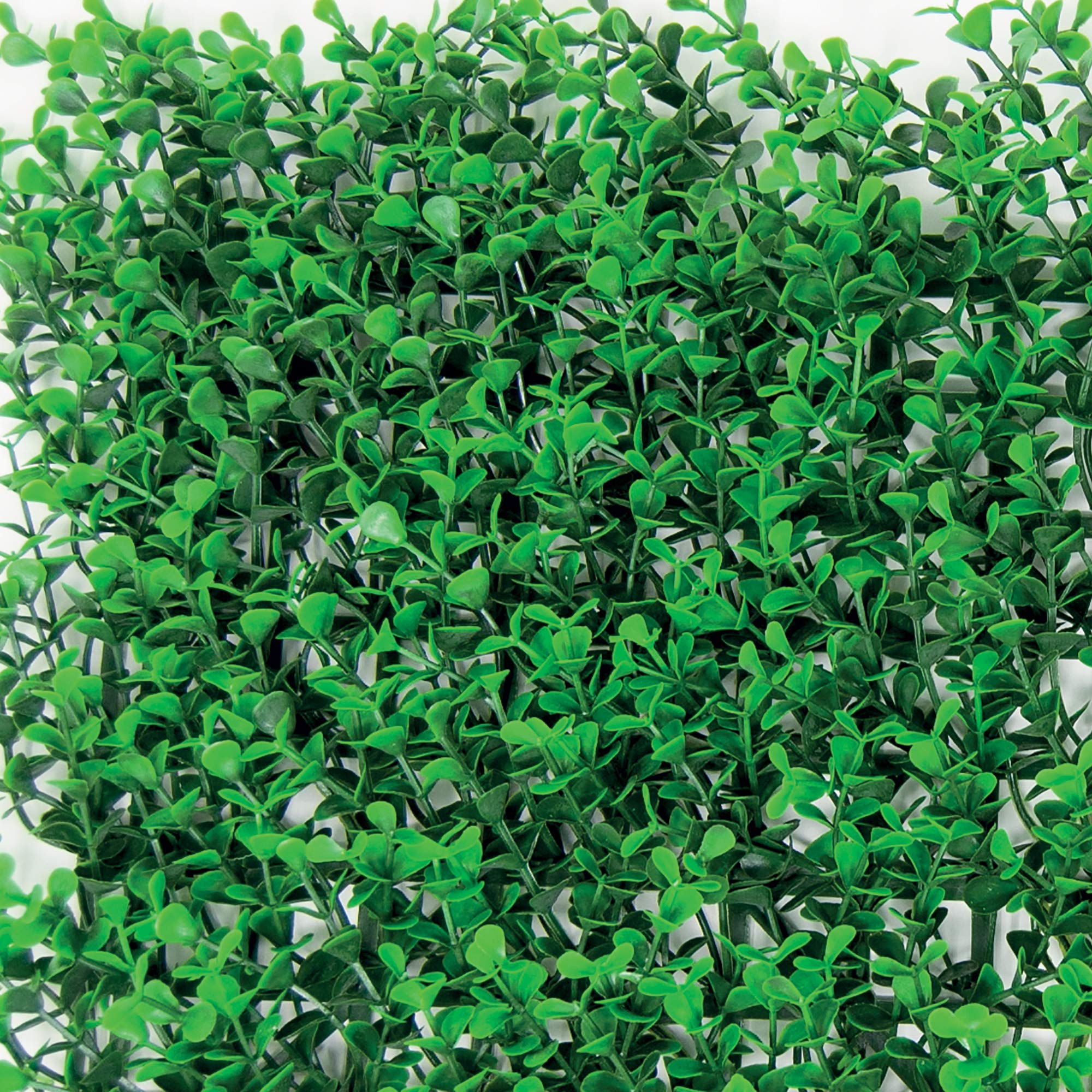 Buxus Intense - Siepe Sintetica per Parete Verticale 1x0.5m
