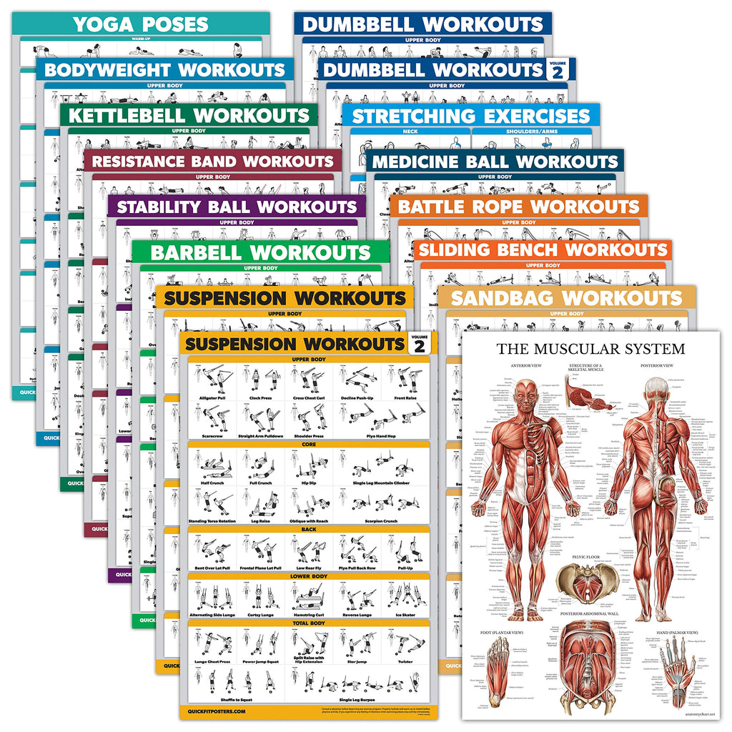 Palace Learning 16 Pack Exercise Poster Set – Laminated Home Gym Charts