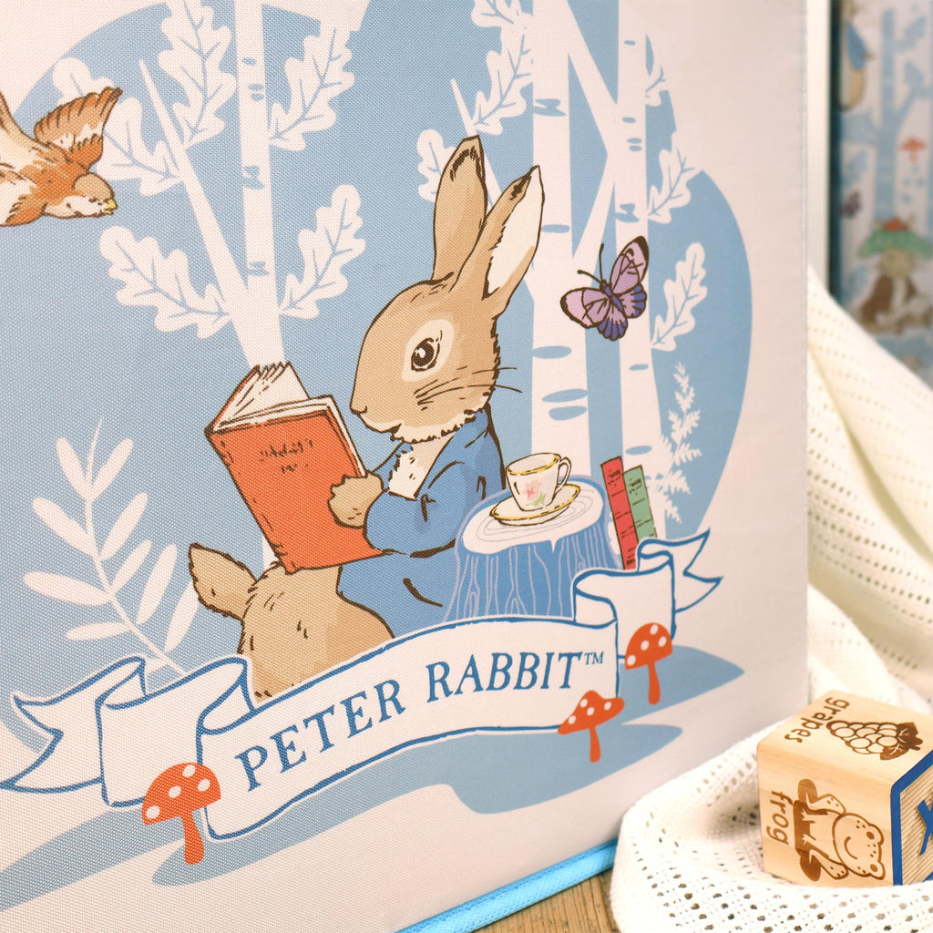 Robert Frederick Peter Rabbit Fabric Storage Cubes – Pack of Two, Large, Blue & White - image 5