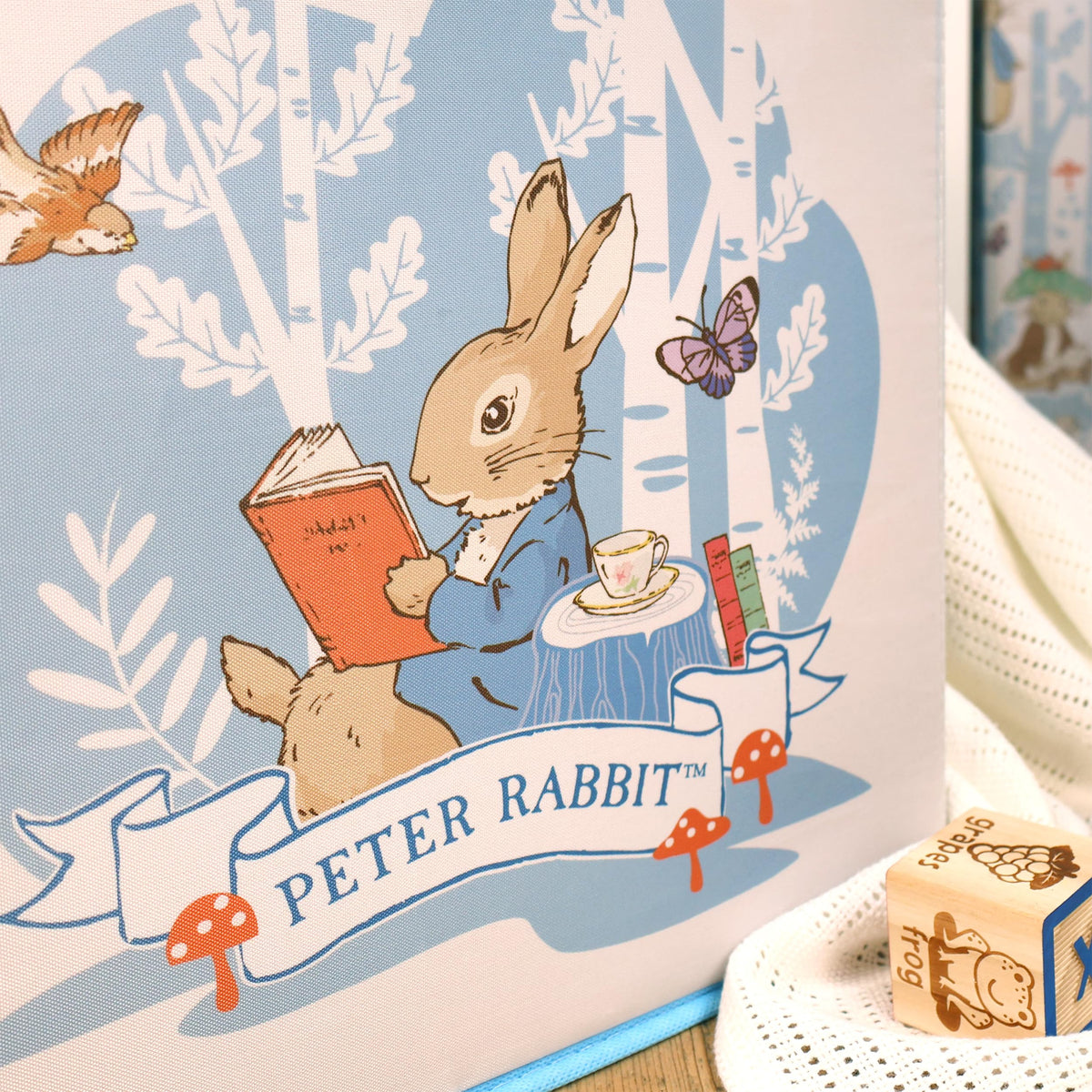 Robert Frederick Peter Rabbit Fabric Storage Cubes – Pack of Two, Large, Blue & White - image 5