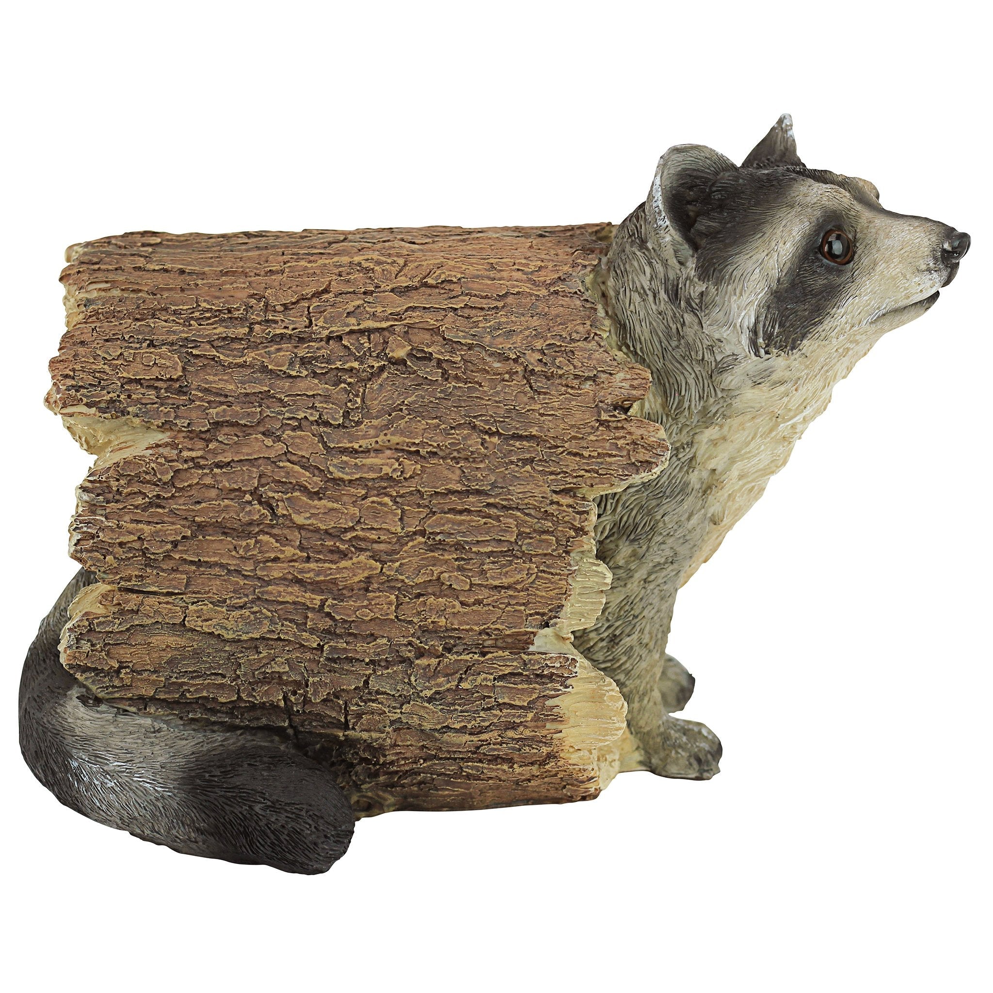 Design Toscano Bandit the Raccoon Garden Statue – 25cm Resin Sculpture