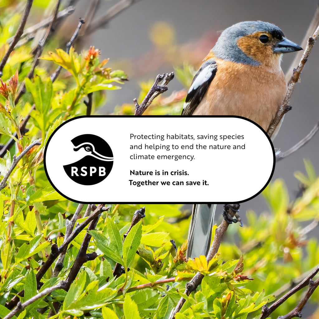 RSPB Nyjer Seeds – High Energy Wild Bird Food for Goldfinches (12.75kg)