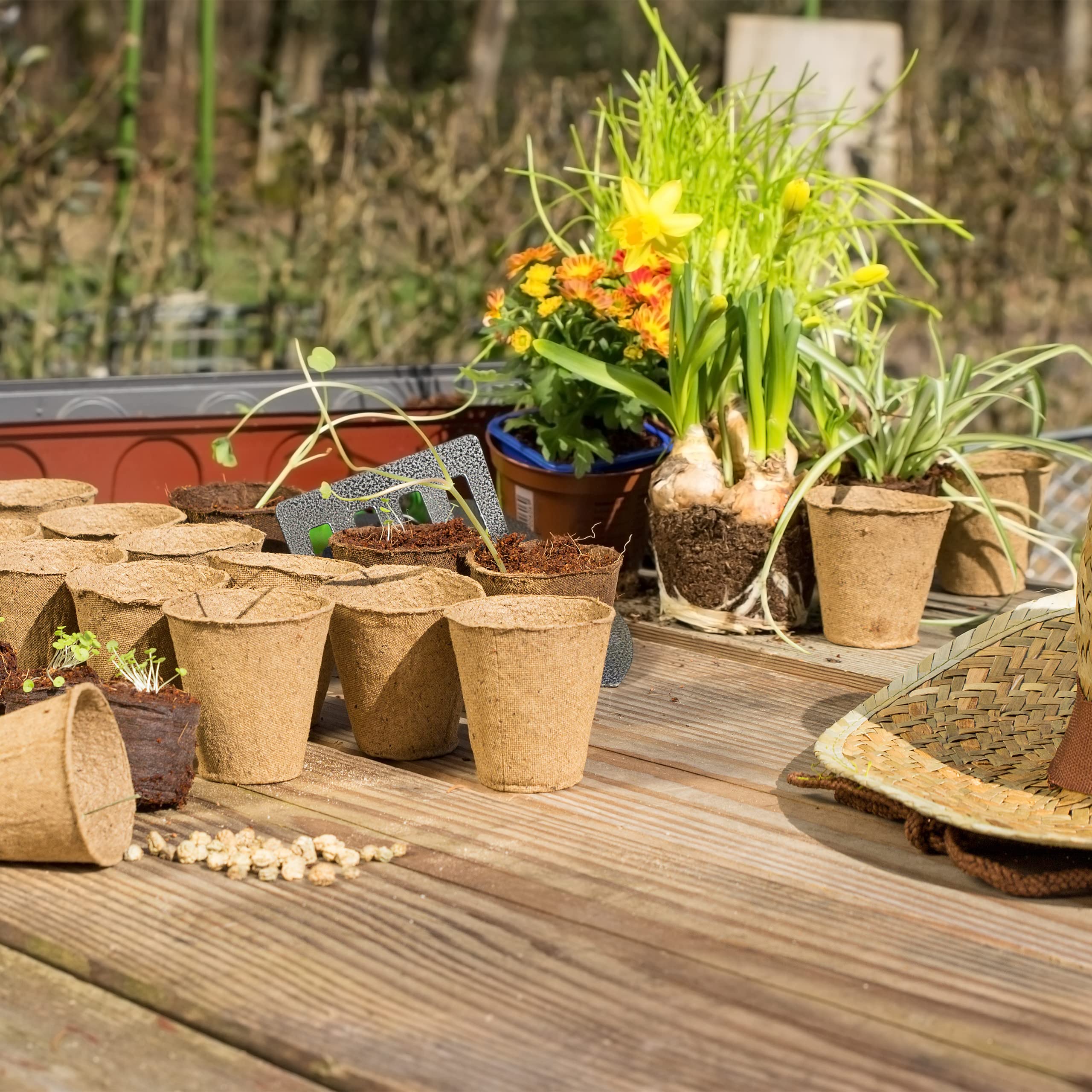 Relaxdays 120-Pack Biodegradable Cellulose Seedling Pots | 7.5 x 8 cm