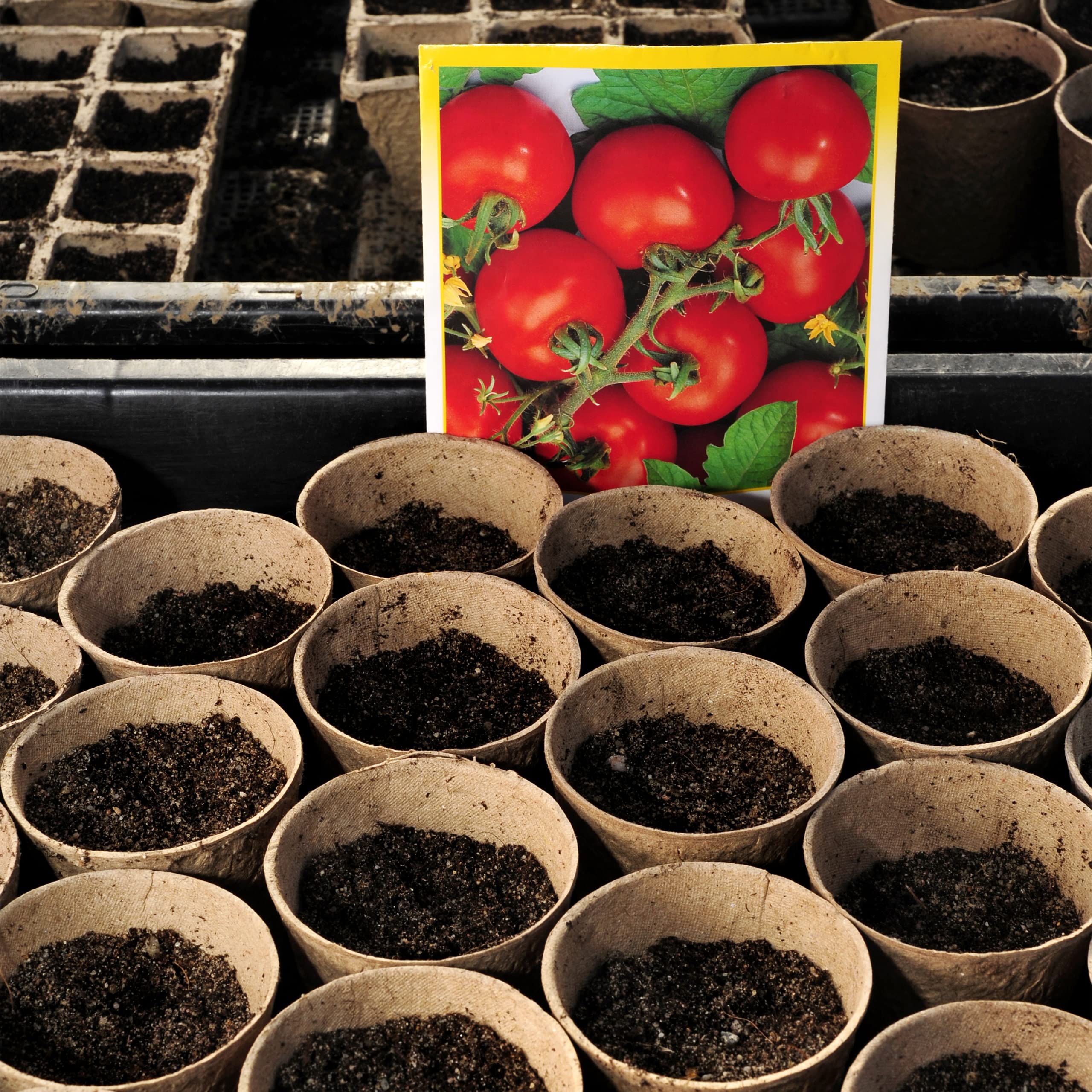 Relaxdays 120-Pack Biodegradable Cellulose Seedling Pots | 7.5 x 8 cm