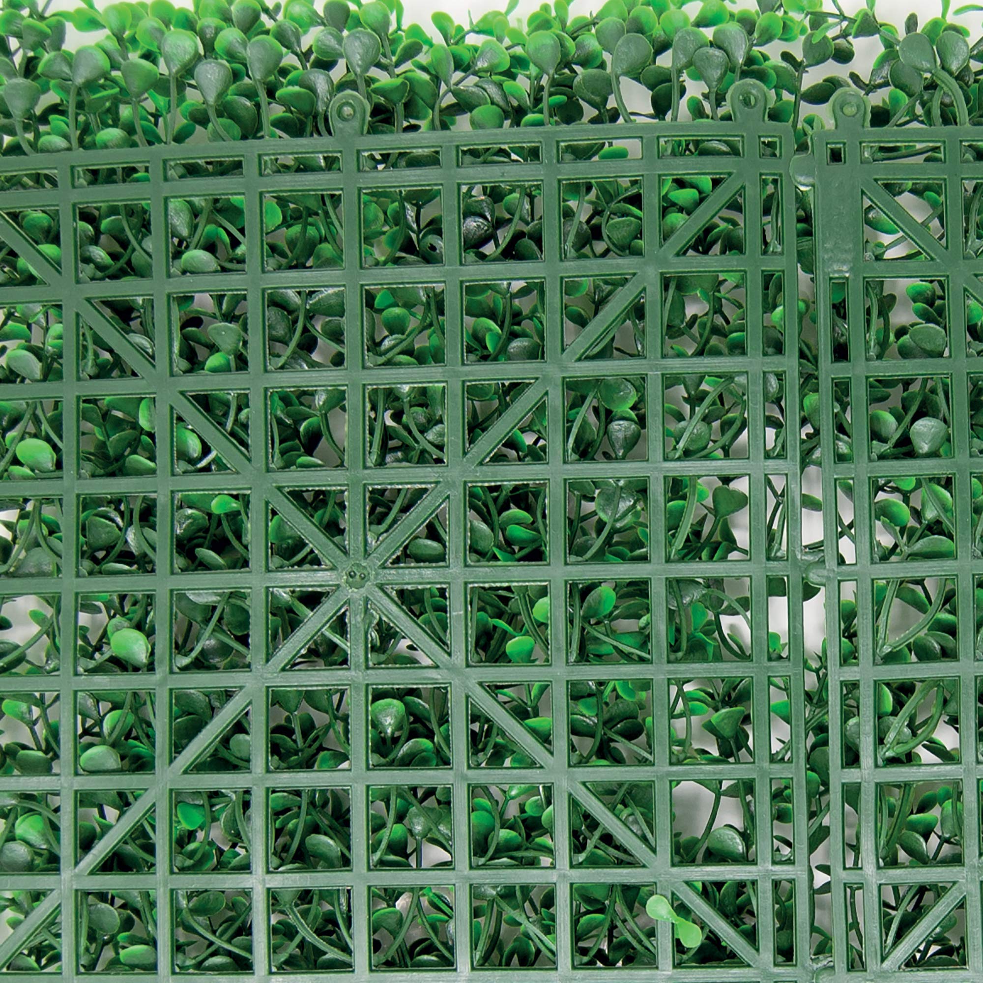 Buxus Intense - Siepe Sintetica per Parete Verticale 1x0.5m