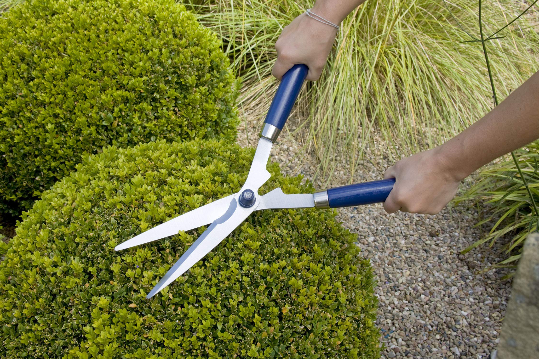 Spear & Jackson Razorsharp Garden Shears – Carbon Steel Wood Handle