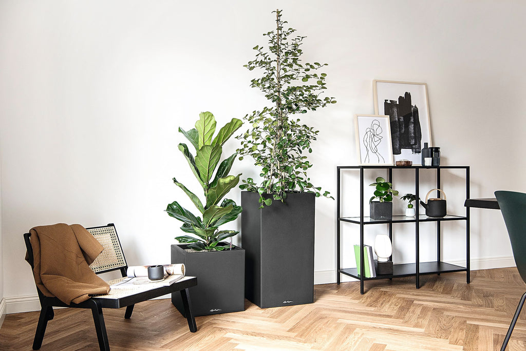 Lechuza Canto Stone 30 Low Self-Watering Planter | Graphite Black
