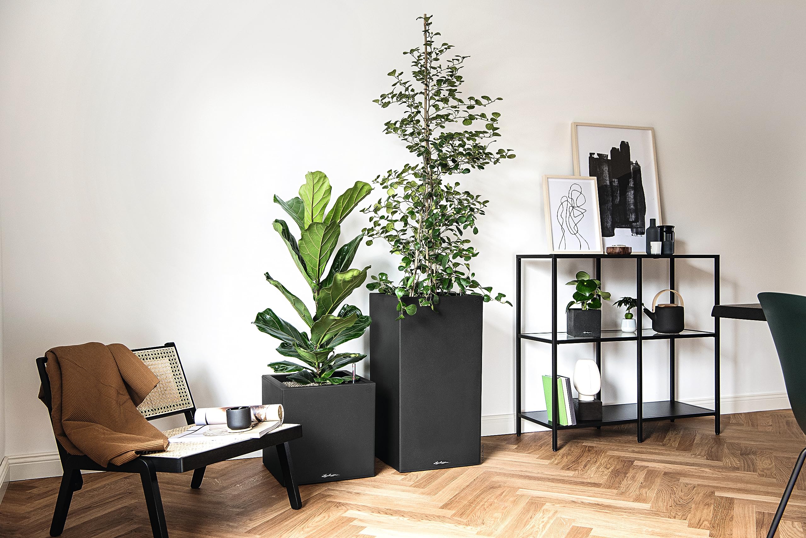 Lechuza Canto Stone 30 Low Self-Watering Planter | Graphite Black
