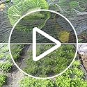 Jolof Store Fine Mesh Garden Insect Netting – UV-Resistant (3 x 15m)