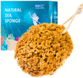 Jordan Benedict Natural Sea Sponge – Unbleached Honeycomb Bath Sponge
