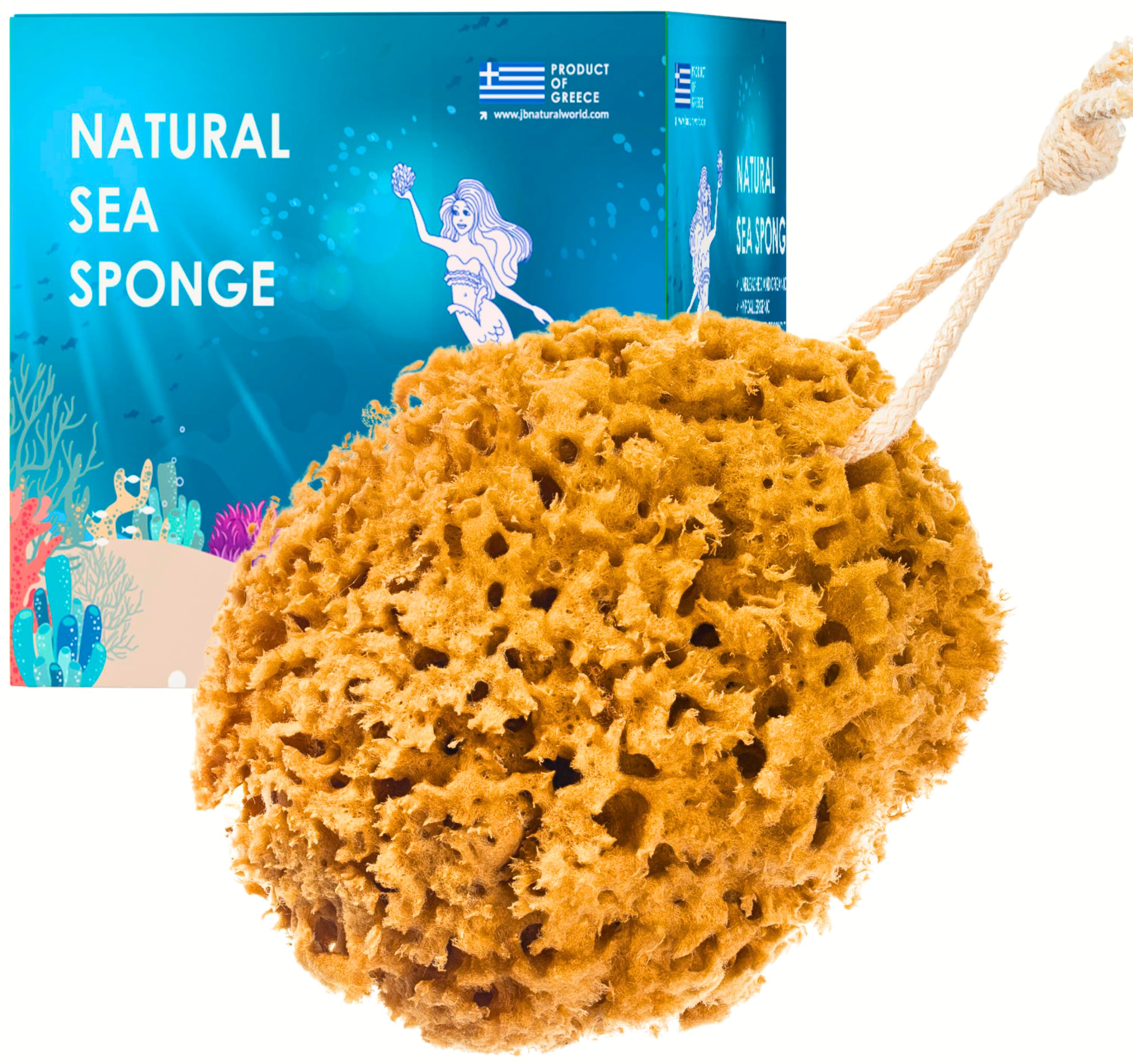 Jordan Benedict Natural Sea Sponge – Unbleached Honeycomb Bath Sponge