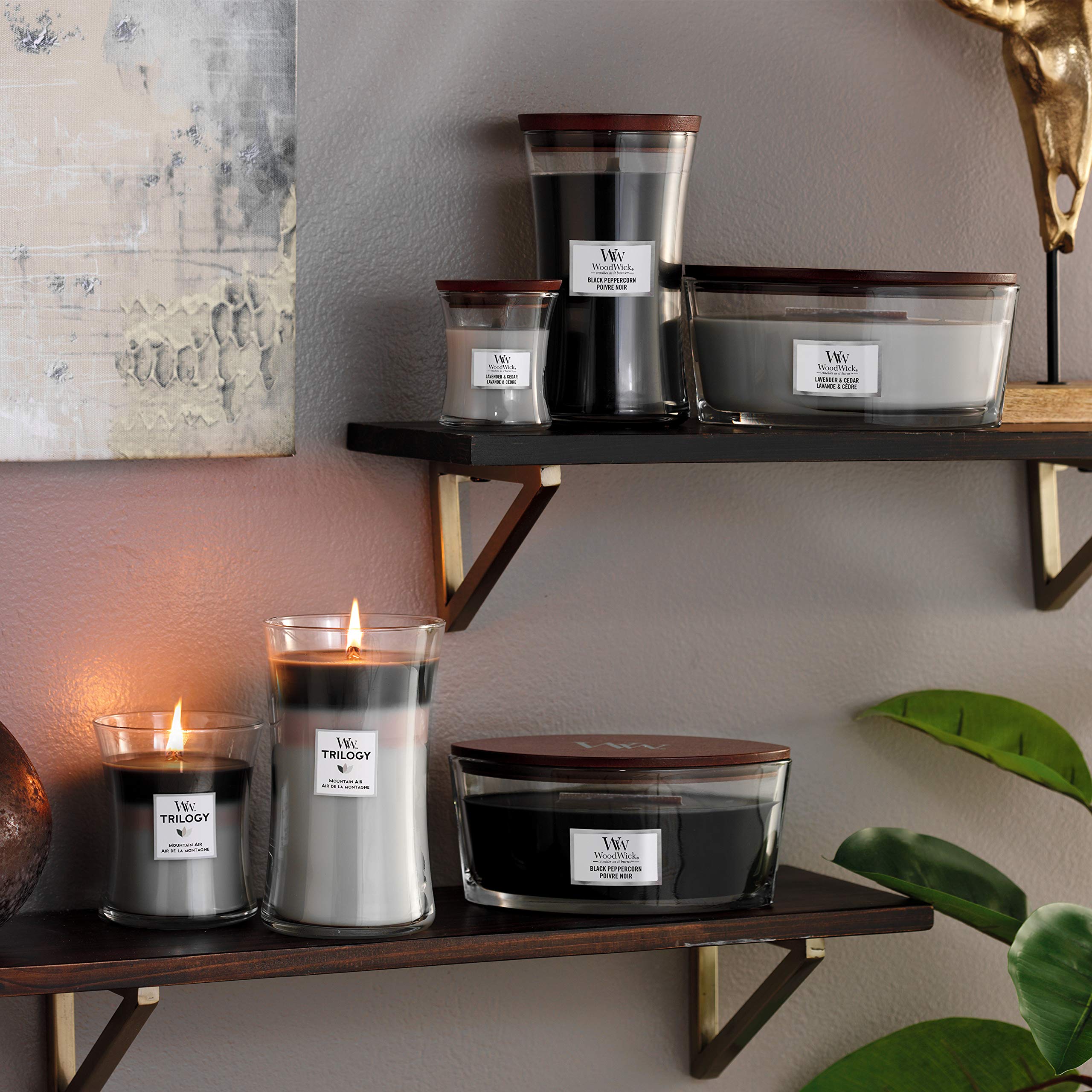 WoodWick Lavender & Cedar Ellipse Scented Candle with Crackling Wick