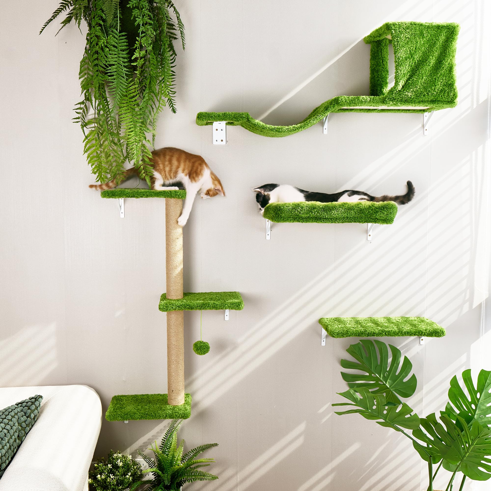 FUKUMARU 4-in-1 Cat Wall Shelves Set | Wooden Climbing Wall with Bed - Green