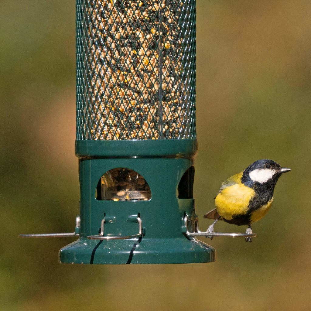 Jacobi Jayne Squirrel Buster Seed Bird Feeder – Metal Pigeon Proof Design