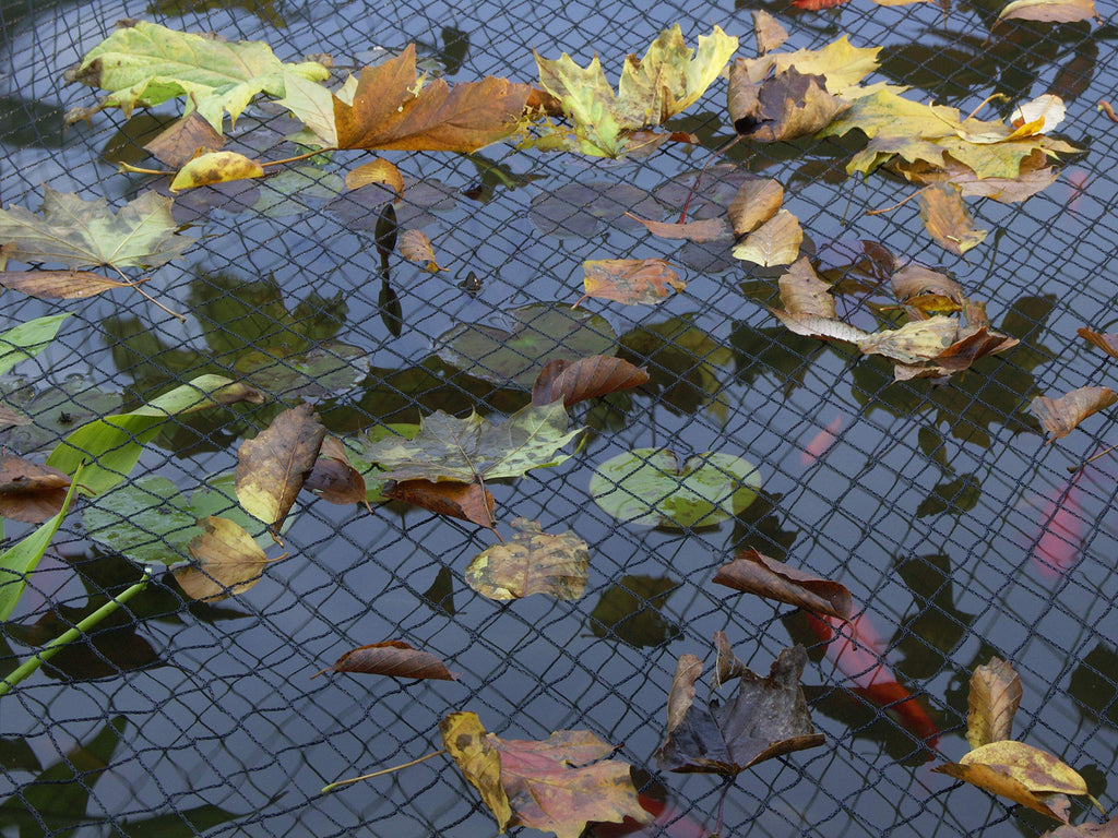 Blagdon Clearview Pond Cover Netting - Black Double Weave - 6m x 5m