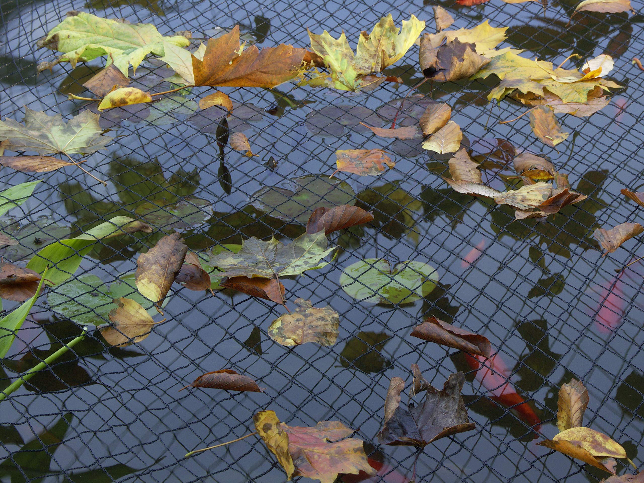 Blagdon Clearview Pond Cover Netting - Black Double Weave - 6m x 5m