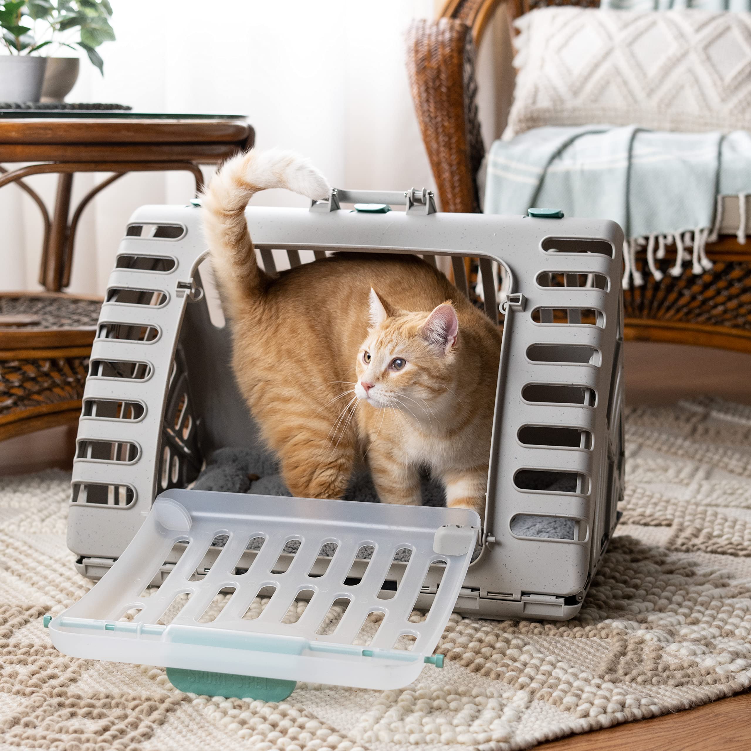 SportPet Foldable Cat Carrier – Large Collapsible Crate with Plush Bed