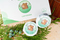 Glowdrop CapySpara Bath Fizz - Matcha & Forest Pine (Box of 6)