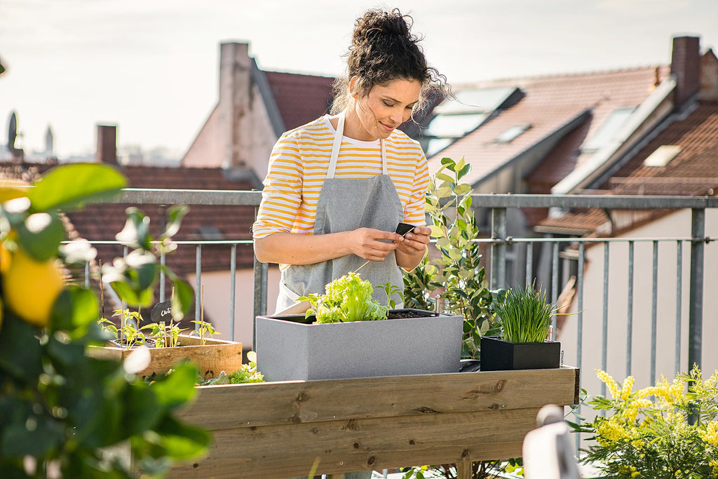 Lechuza Balconera Stone 50 Self-Watering Planter | Stone Grey Window Box