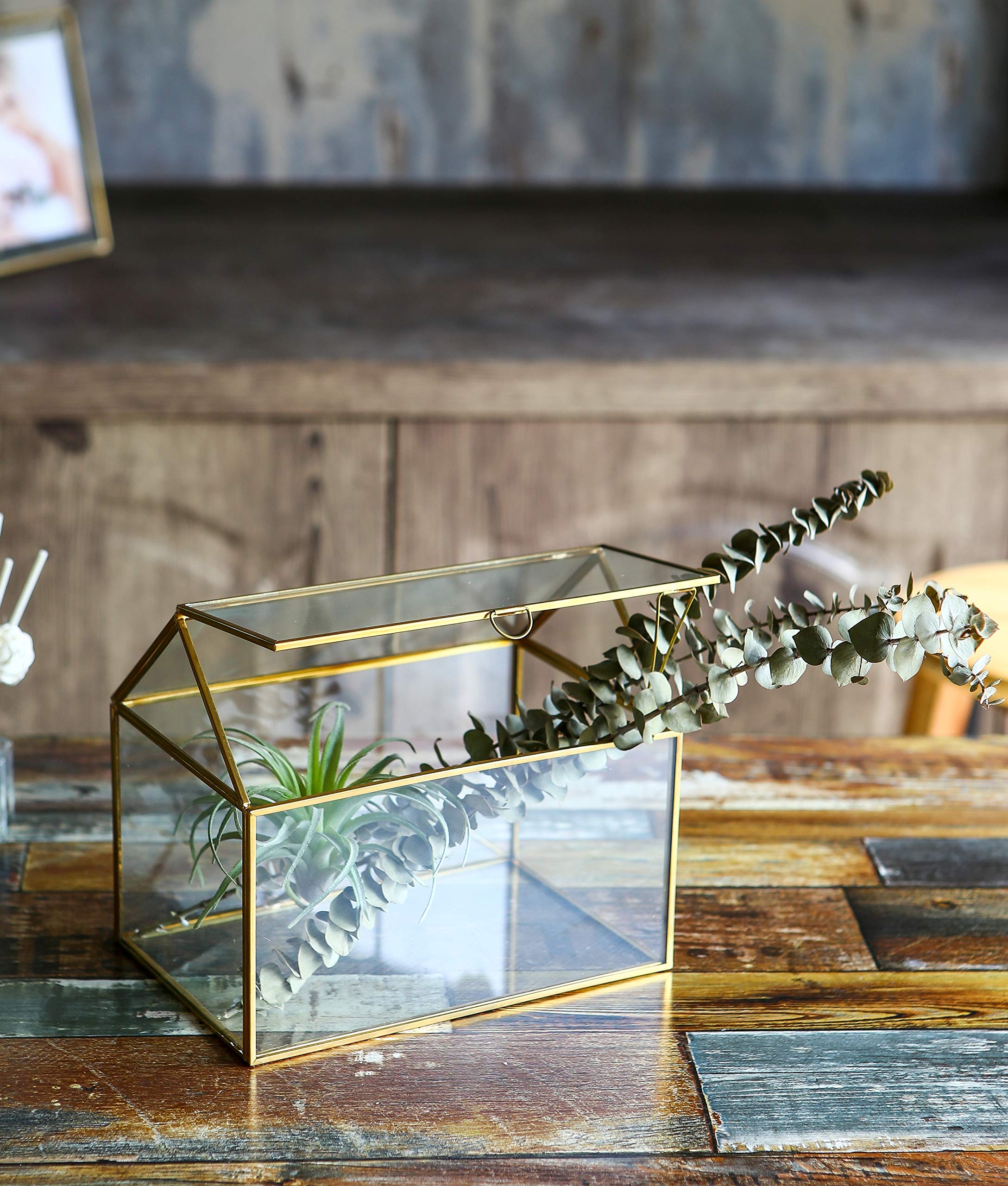 Jolof Store House Shape Glass Geometric Terrarium – Gold Succulent Planter
