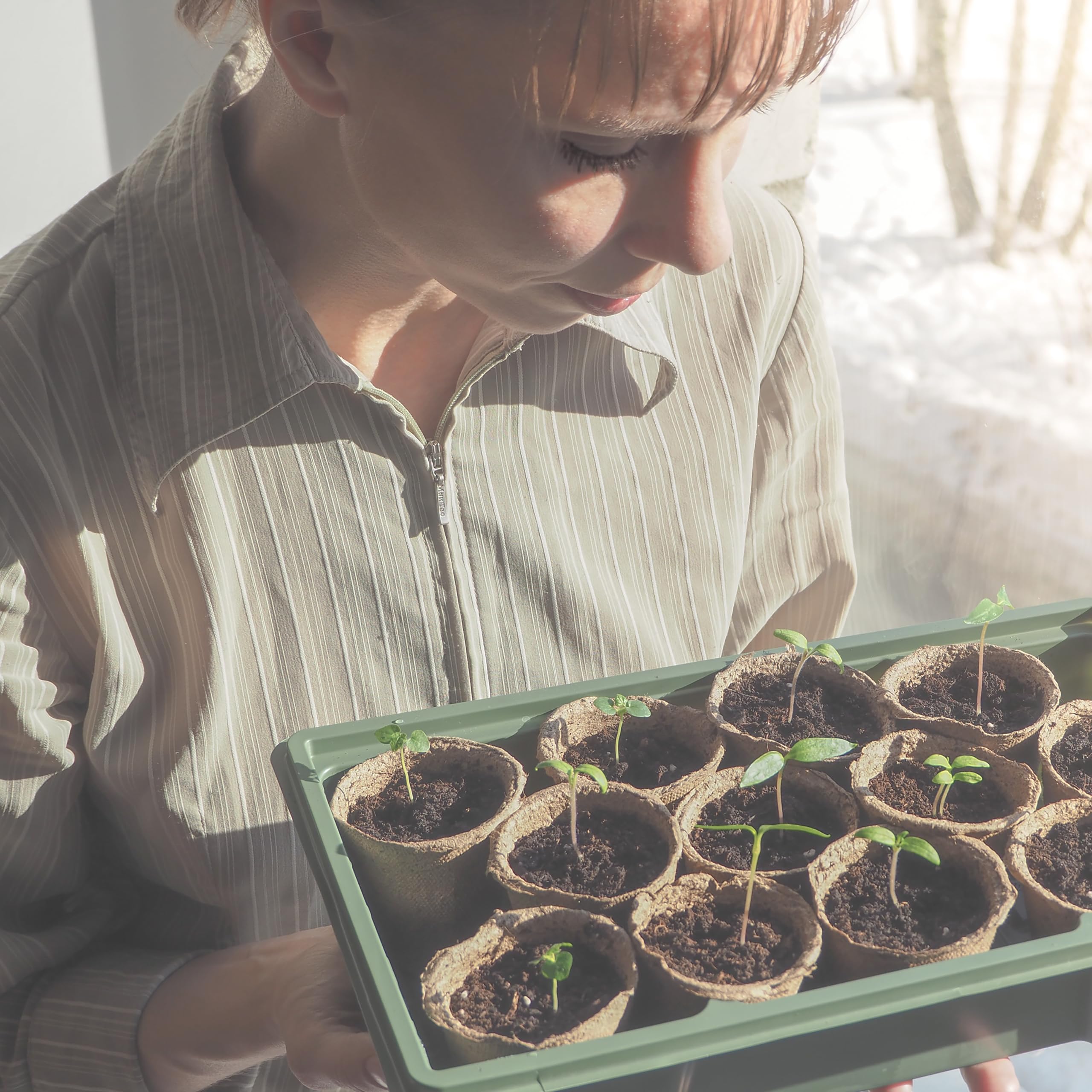 Relaxdays 120-Pack Biodegradable Cellulose Seedling Pots | 7.5 x 8 cm
