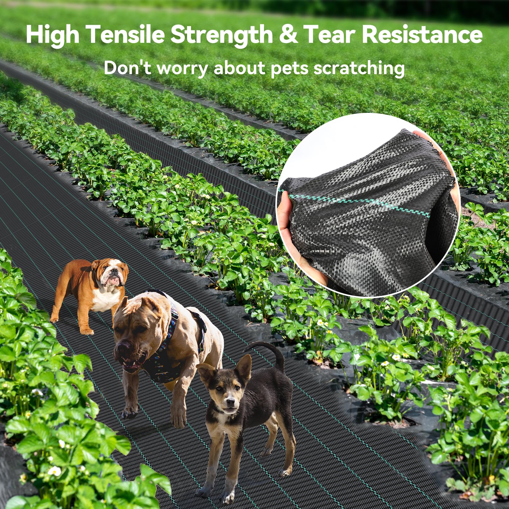 iropro Heavy Duty Weed Control Membrane | 4m x 10m Black Woven Fabric