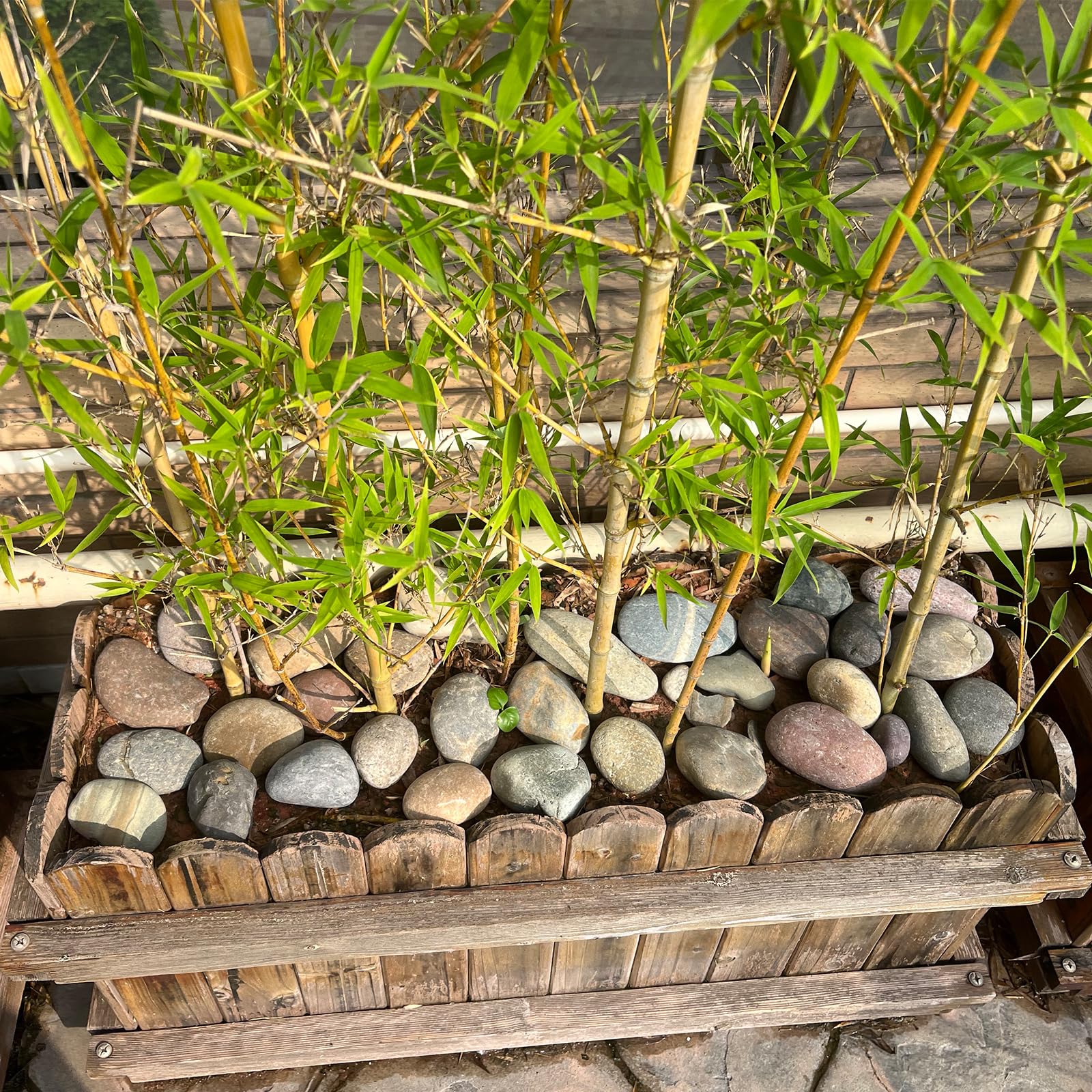 FANTIAN 20 lbs Natural River Stones – 2-4 cm Decorative Garden Cobbles