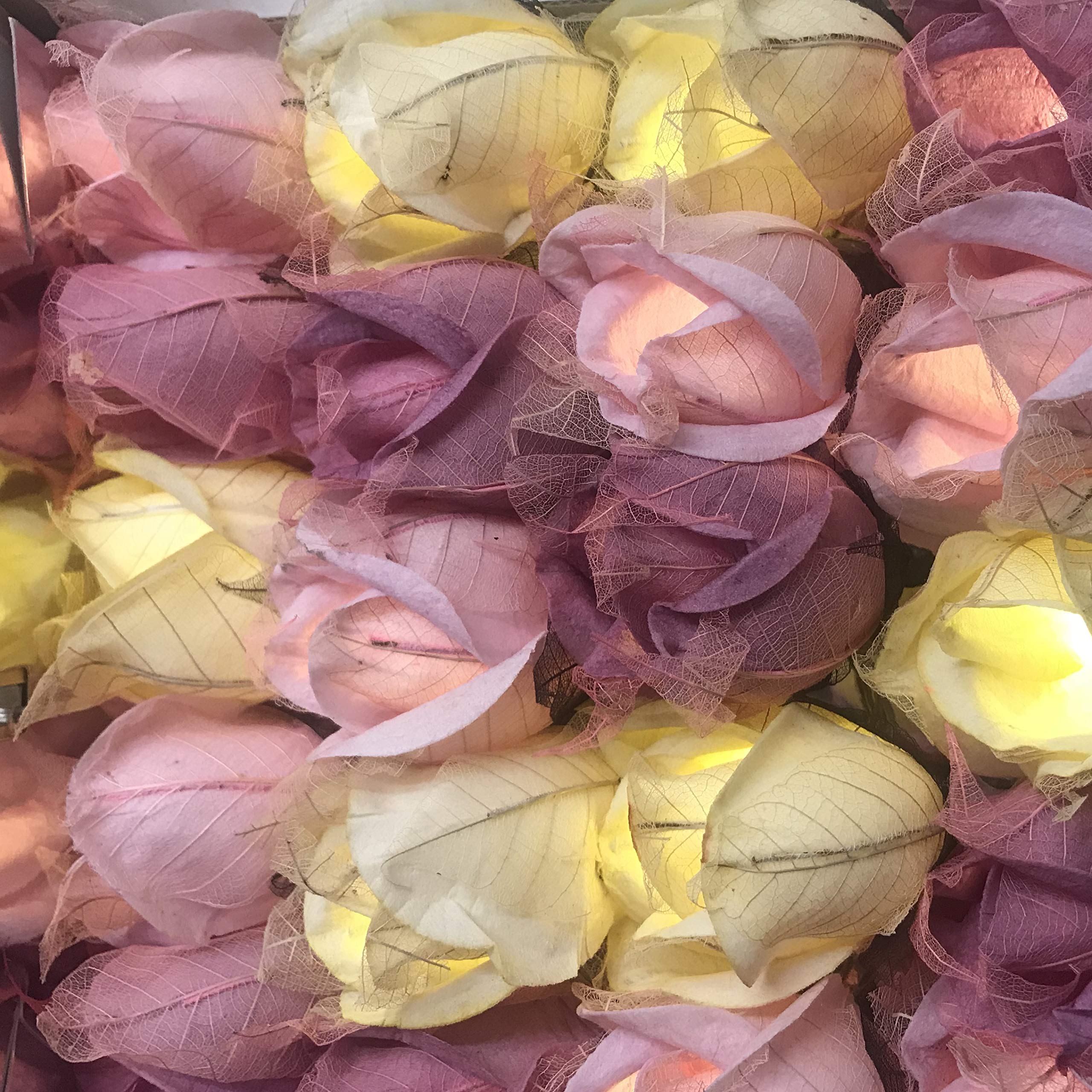 Blaze On Chelsea Rose Fairy Lights – 20 Pink Mulberry Paper LED String