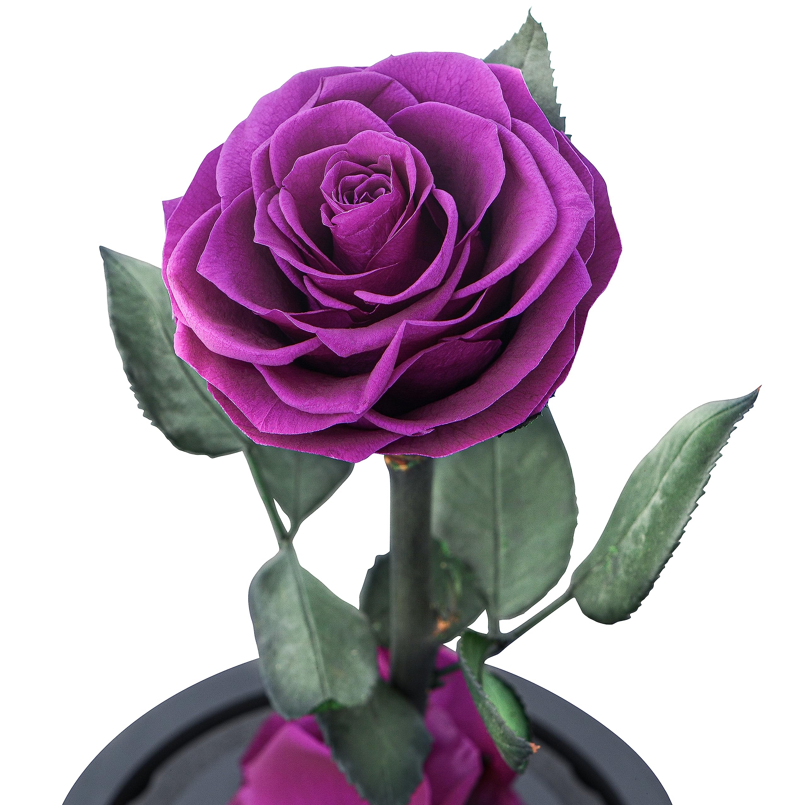 Preserved Eternal Rose – Handcrafted Single Flower in Glass Dome