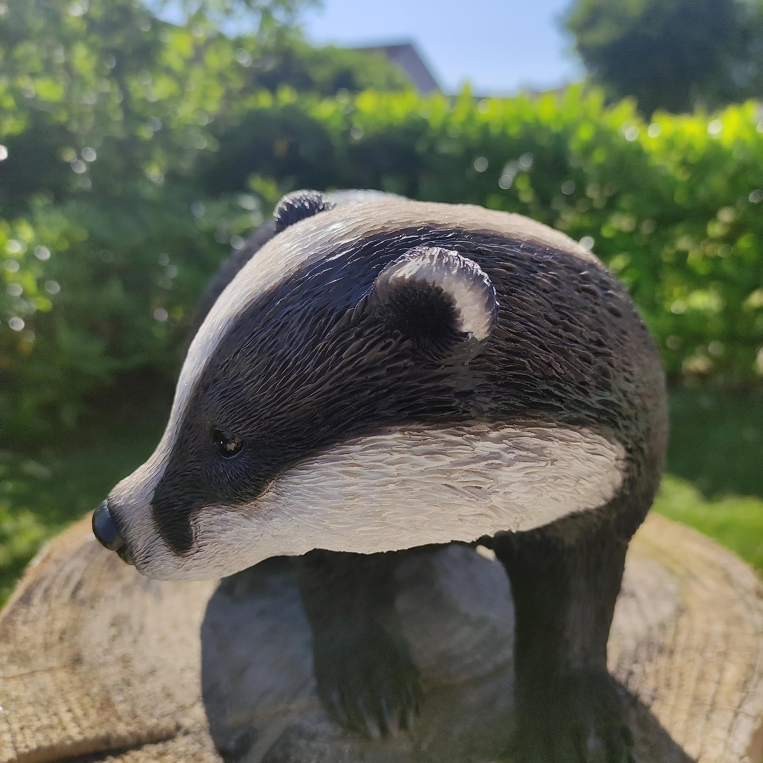 Jolof Store Lifelike Badger Garden Ornament – Hand Painted Resin Statue