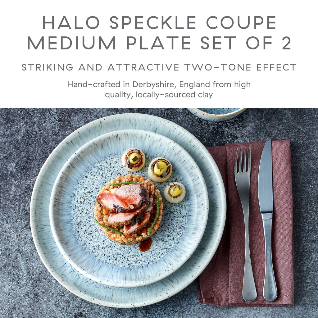 Denby Halo Speckle Medium Plates - Set of 2 Grey Ceramic Stoneware 21cm