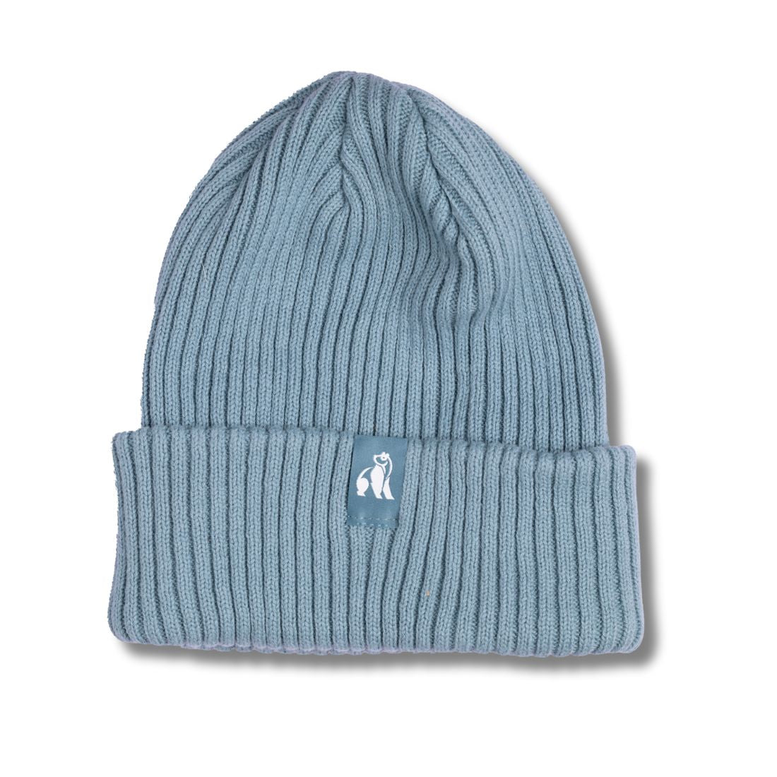 Swole Panda Organic Cotton Beanie – Sustainable Unisex Hat in Turquoise