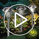 BEAU JARDIN Solar Pathway Lights | 8 Pack Waterproof Stainless Steel Glass