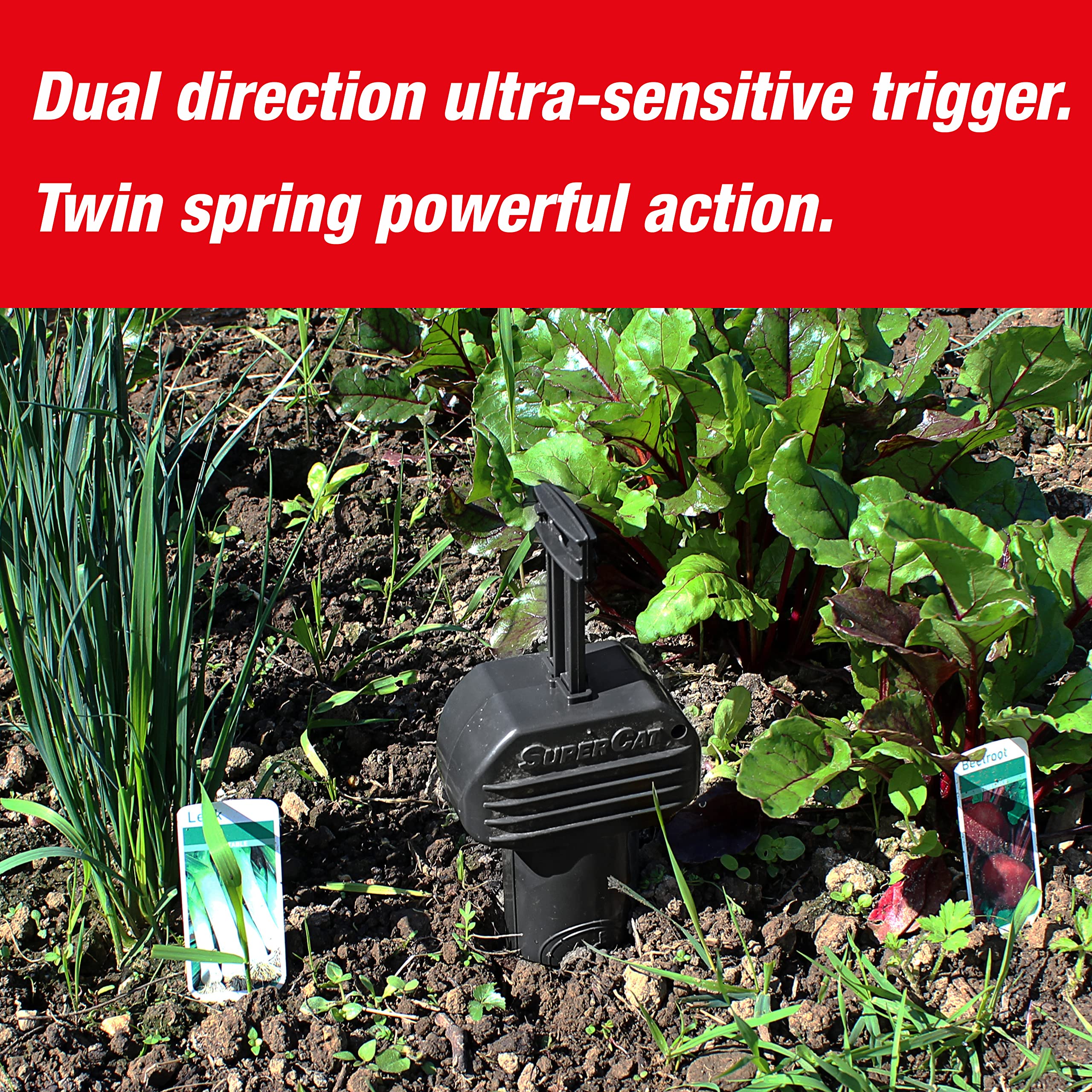 Swissinno Vole Trap PRO SuperCat – Dual-Direction Snap Trap, 2-Pack