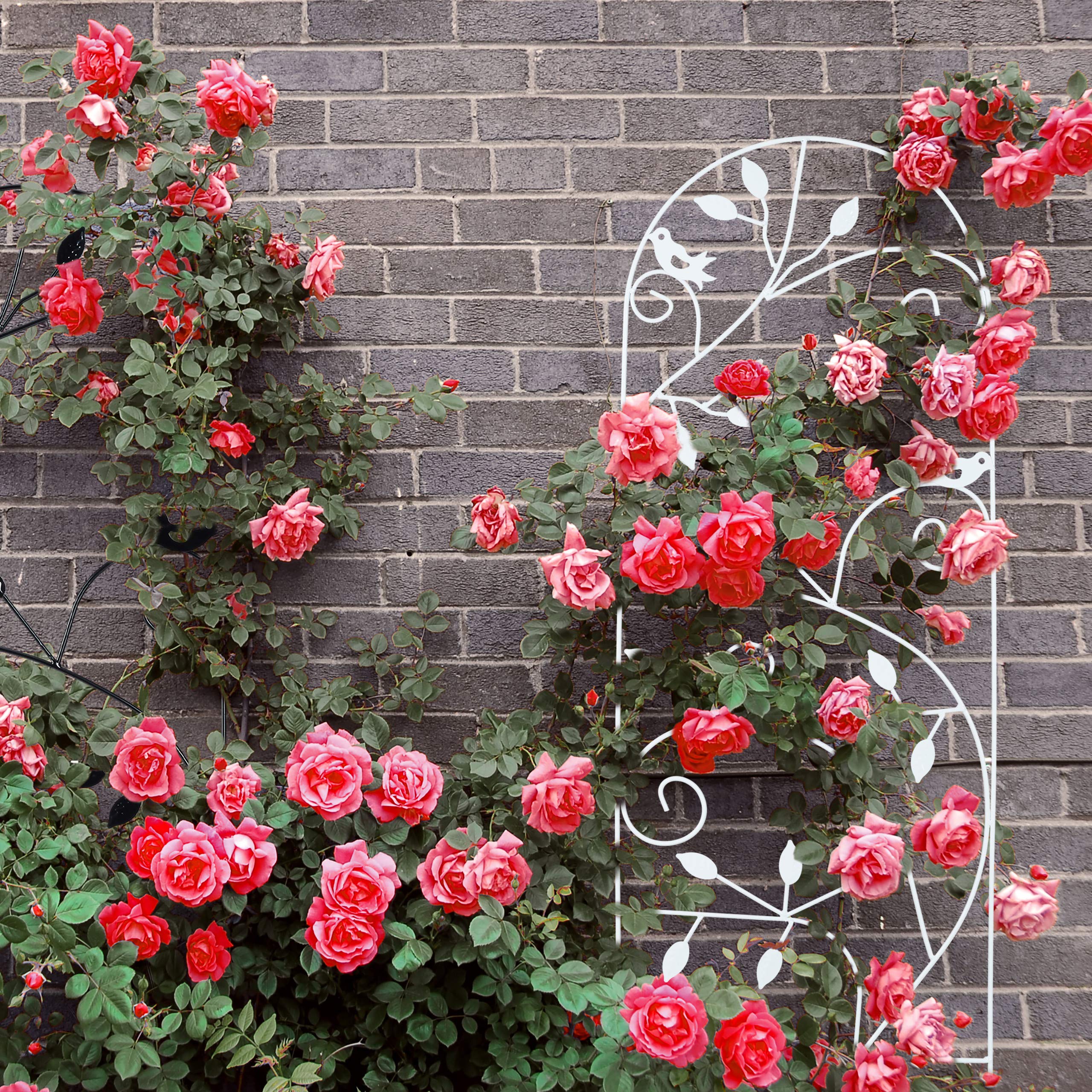 Relaxdays Metal Garden Trellis – 120x40cm Bird Design Plant Support