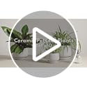 LE TAUCI Ceramic Plant Pots - Set of 3 Modern Indoor Planters, White