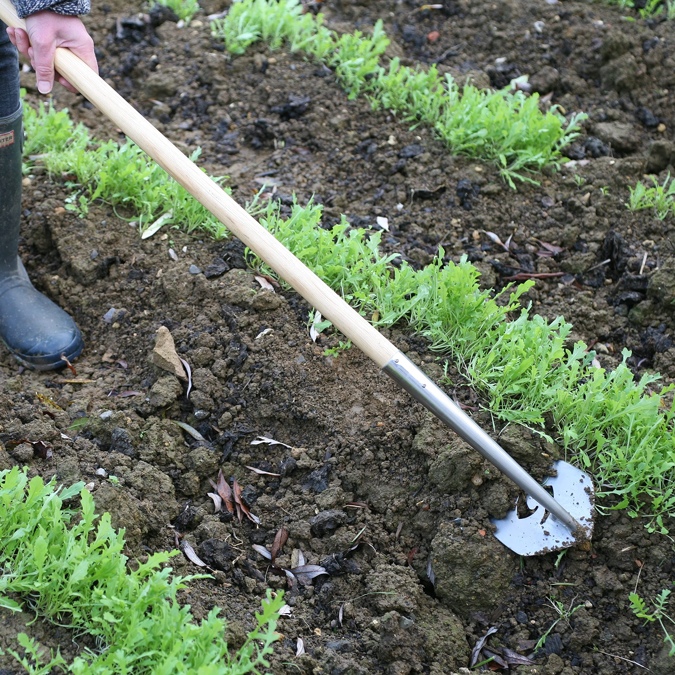 Haxnicks Speed Hoe – Stainless Steel Garden Weeding Tool, 1.7m