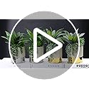 Hollyone 12" Artificial Succulent Plants in Gold Ceramic Pot – Faux Maguey
