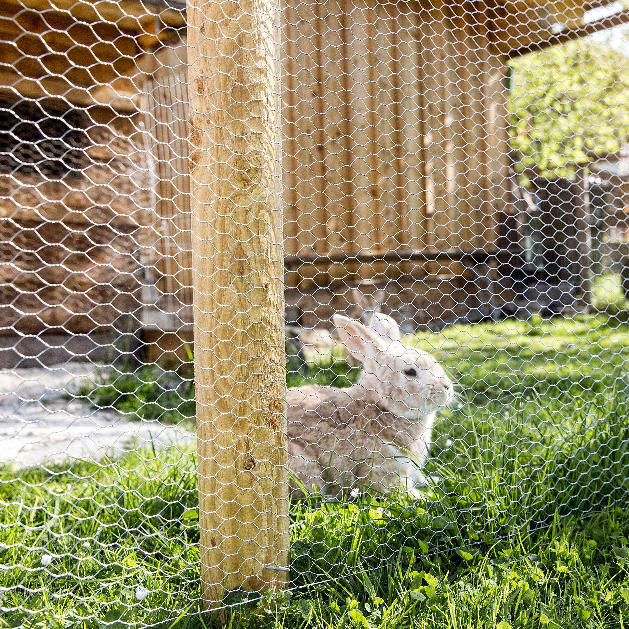 Windhager Galvanised Small Animal Mesh – 1 x 10m Weatherproof Wire
