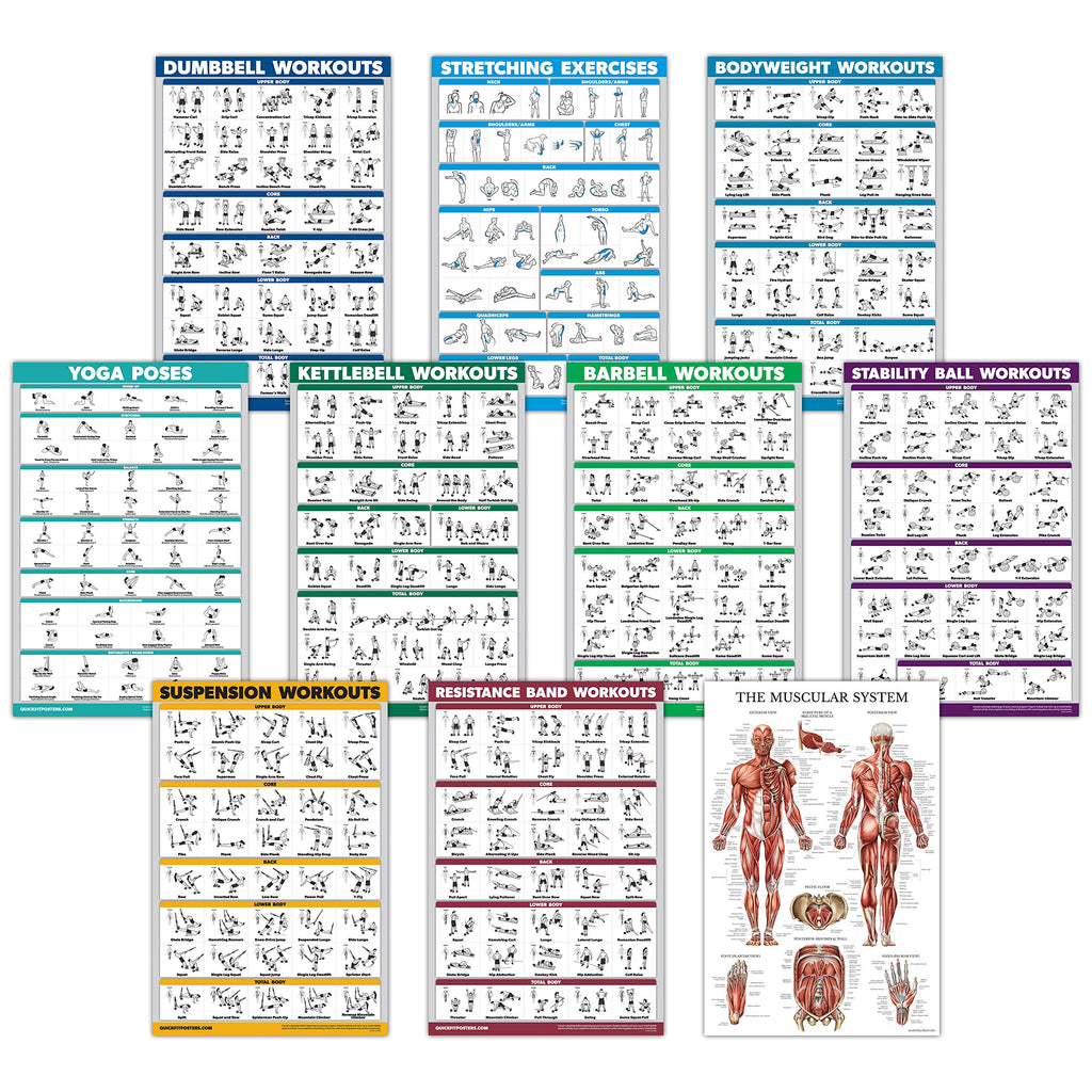 10 Pack Exercise Workout Poster Set – Laminated 18" x 24"
