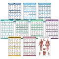 10 Pack Exercise Workout Poster Set – Laminated 18" x 24"