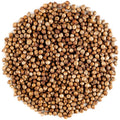 Jolof Store Organic Coriander Seeds – Gourmet Cilantro Seeds, 700g