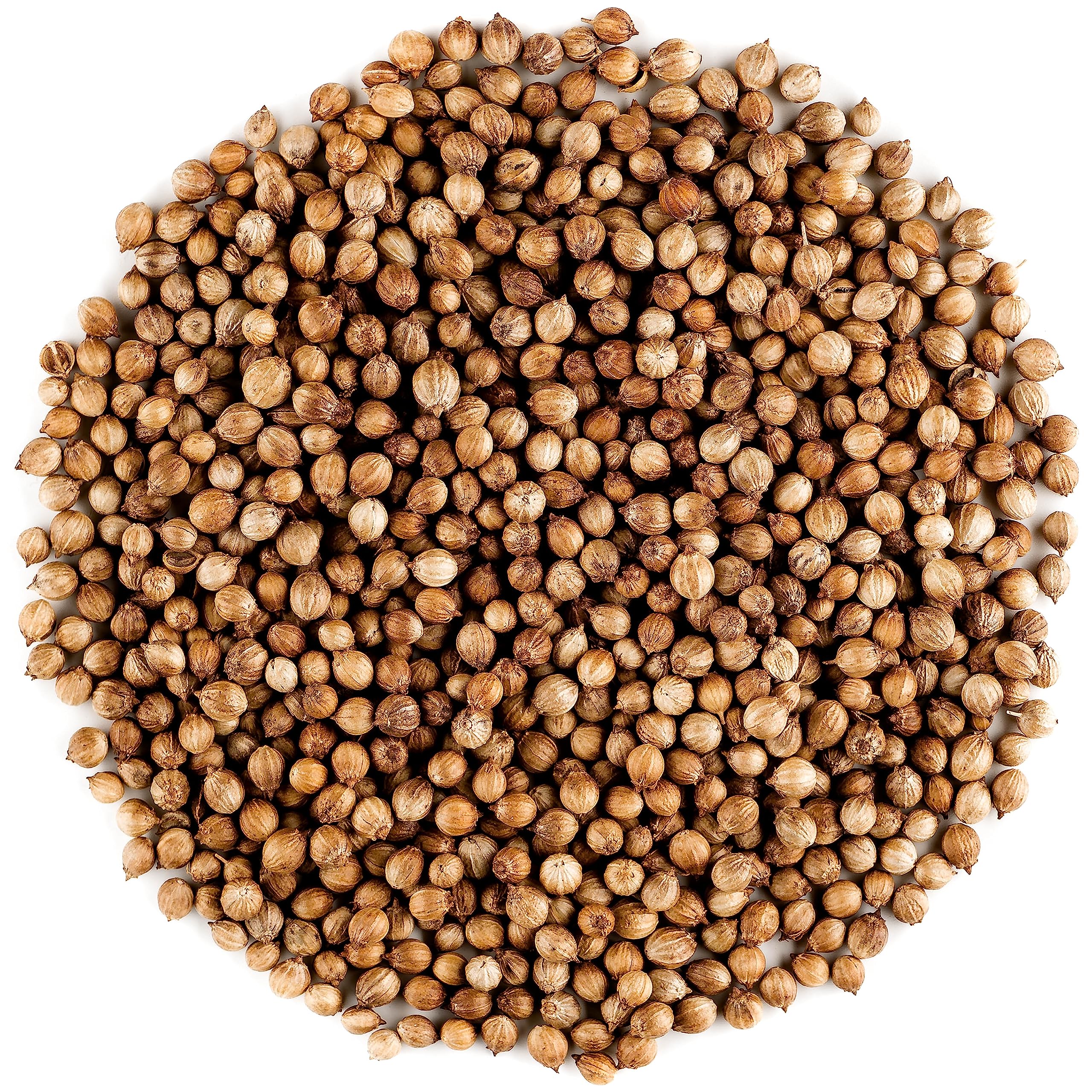 Jolof Store Organic Coriander Seeds – Gourmet Cilantro Seeds, 700g