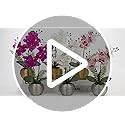 White Artificial Orchid Plant | Real Touch Potted Flowers