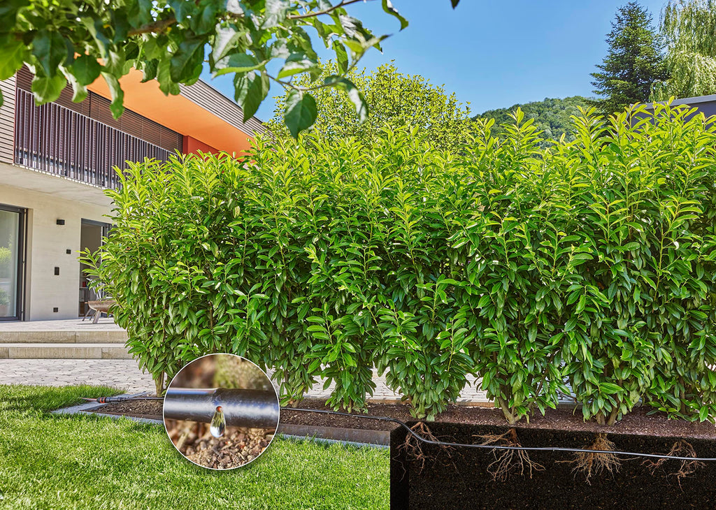 Gardena Micro-Drip-System Drip Irrigation Set for Hedges & Bushes - 25m